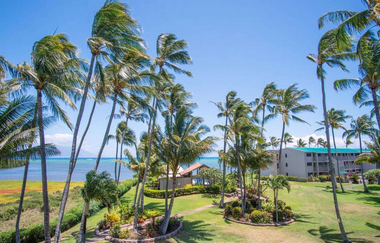 Molokai Island Retreat With Beautiful Ocean Views And Pool - Newly Remodeled! Apartman Ualapue Kültér fotó